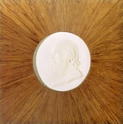 Charles Darwin (1809-82) ca. 1881